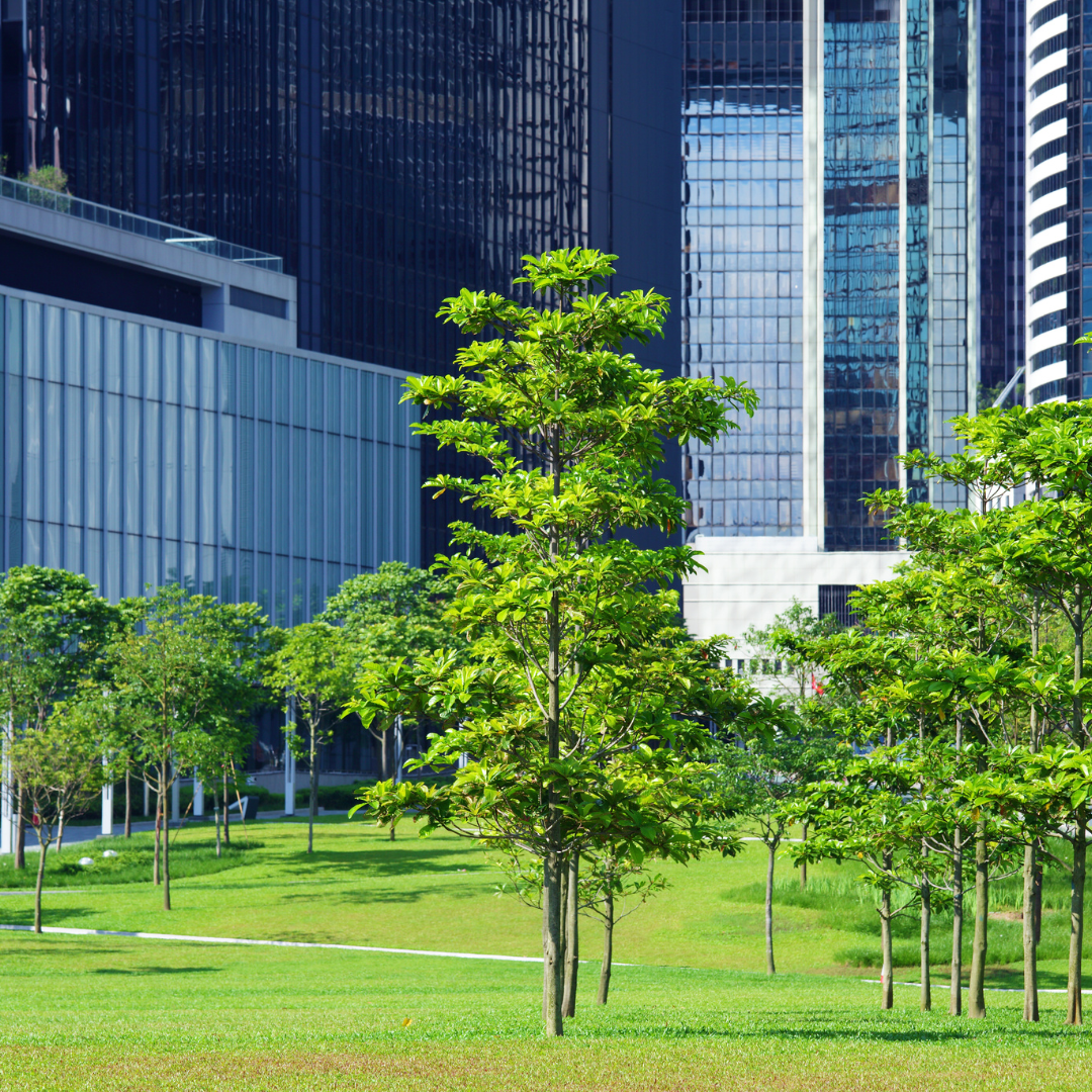 green area facility